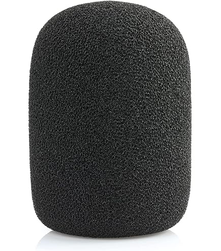 Electro-Voice RE20 Broadcast Announcer Microphone